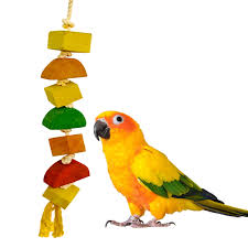 Bird Toys